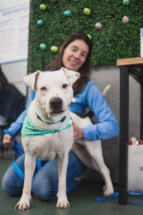 RIMA