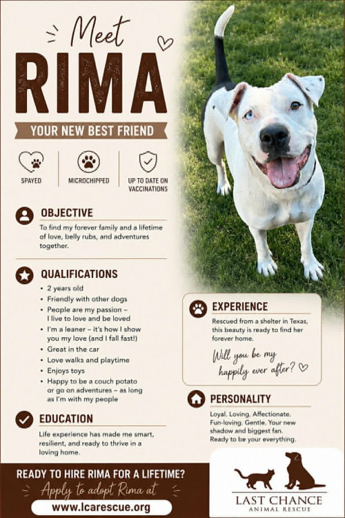 RIMA