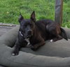 CASH - Photo 3