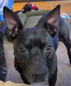 CASH - Photo 6