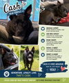 CASH - Photo 7