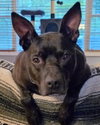 CASH - Photo 1