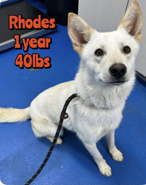 RHODES