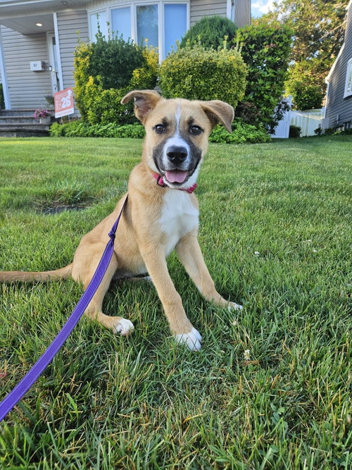 CORA