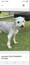 PETEY - Photo 2