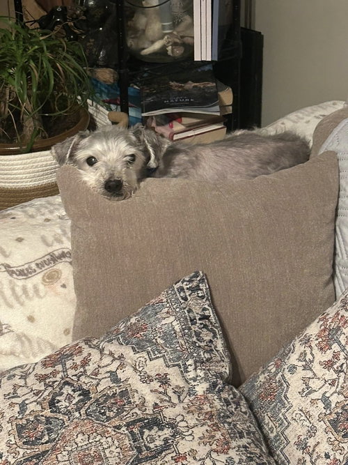 PETEY photo 2