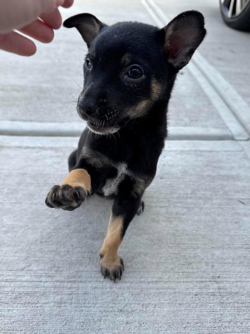 SPUNKY