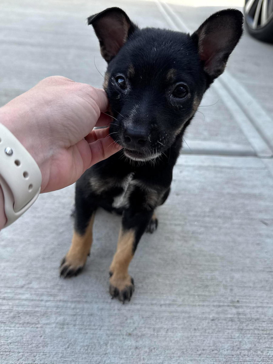 SPUNKY