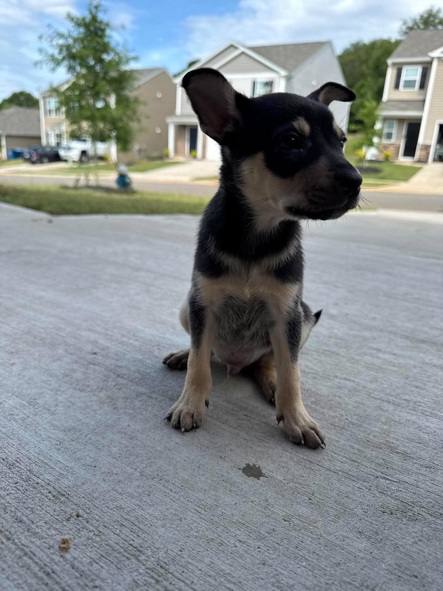 RASCAL