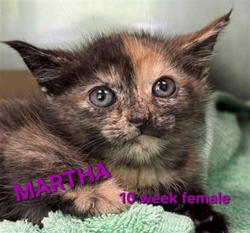 MARTHA