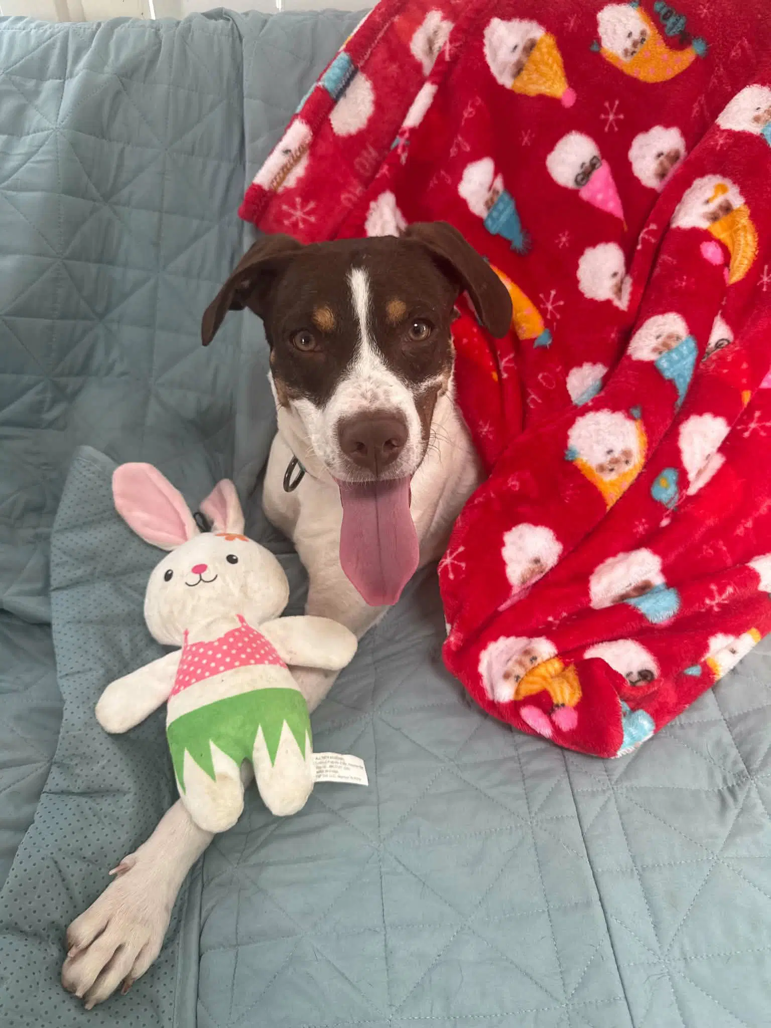 Jake image 4