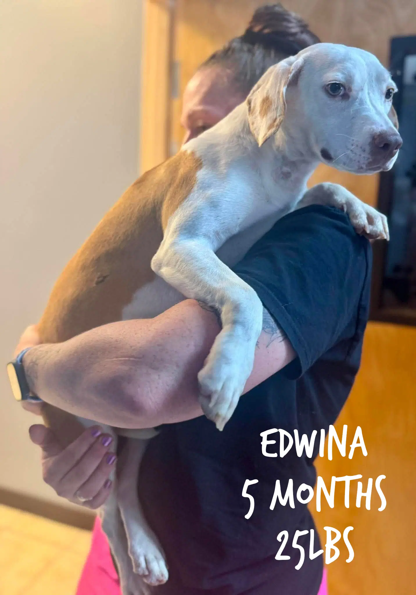 Edwina - Unknown