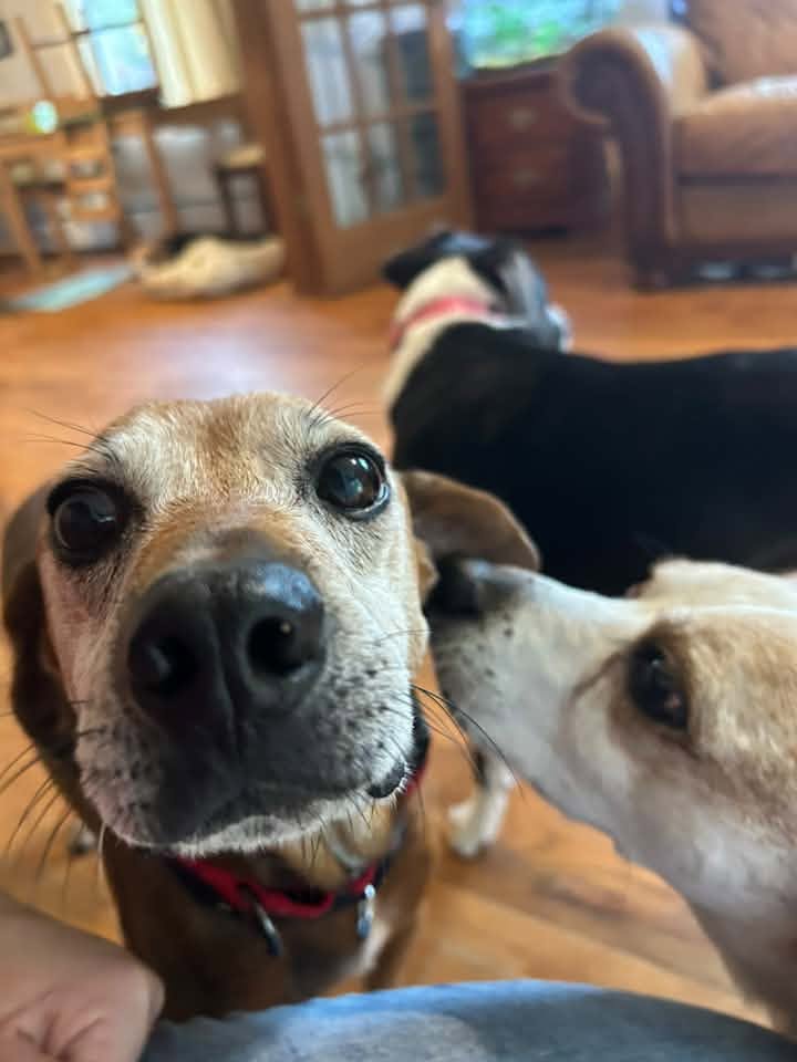 COPPER, photo 4