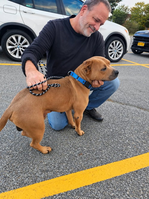 GRIZZLY, a dog for adoption from Last Chance Animal Rescue