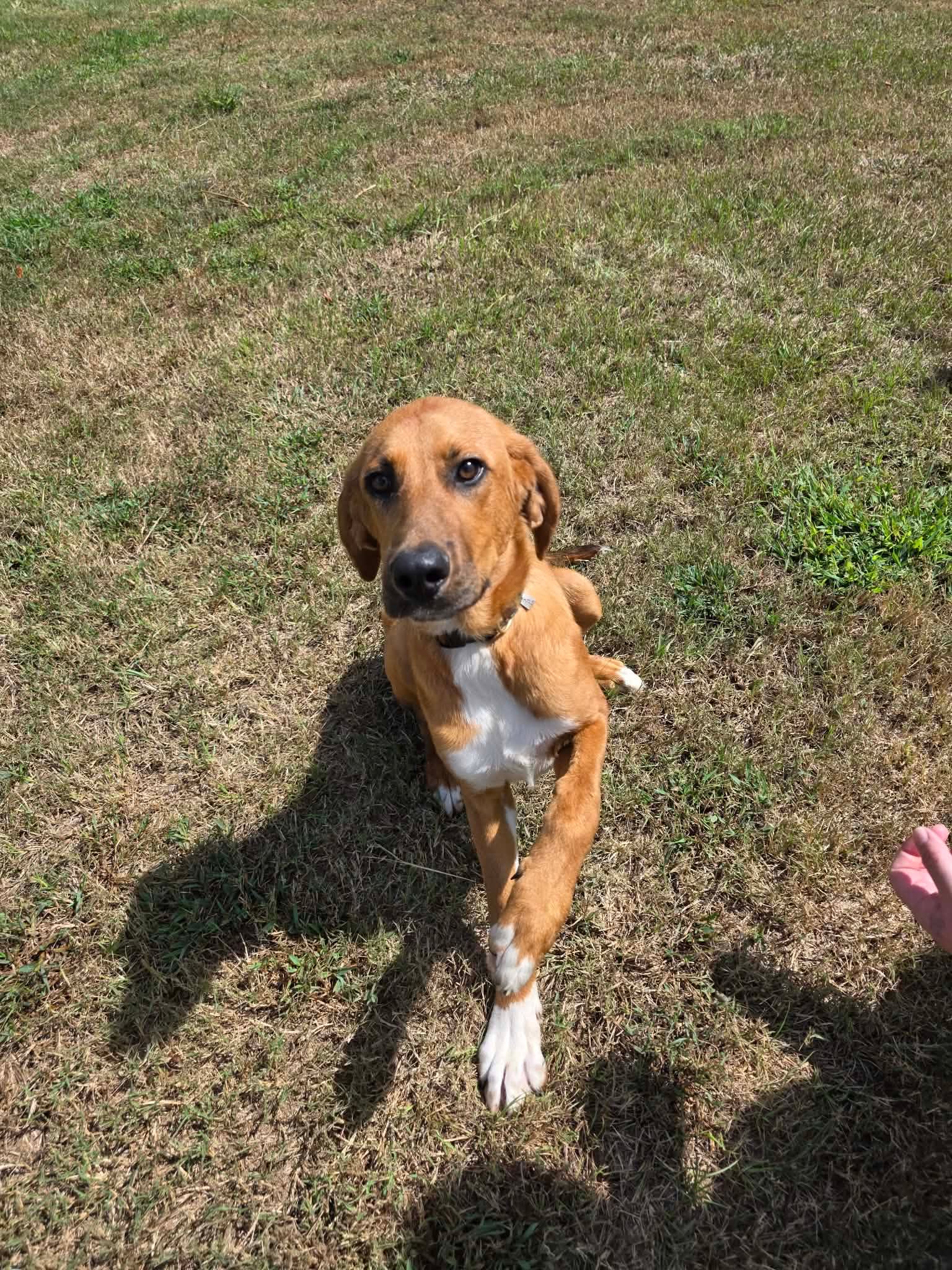 MARLEY, photo 5