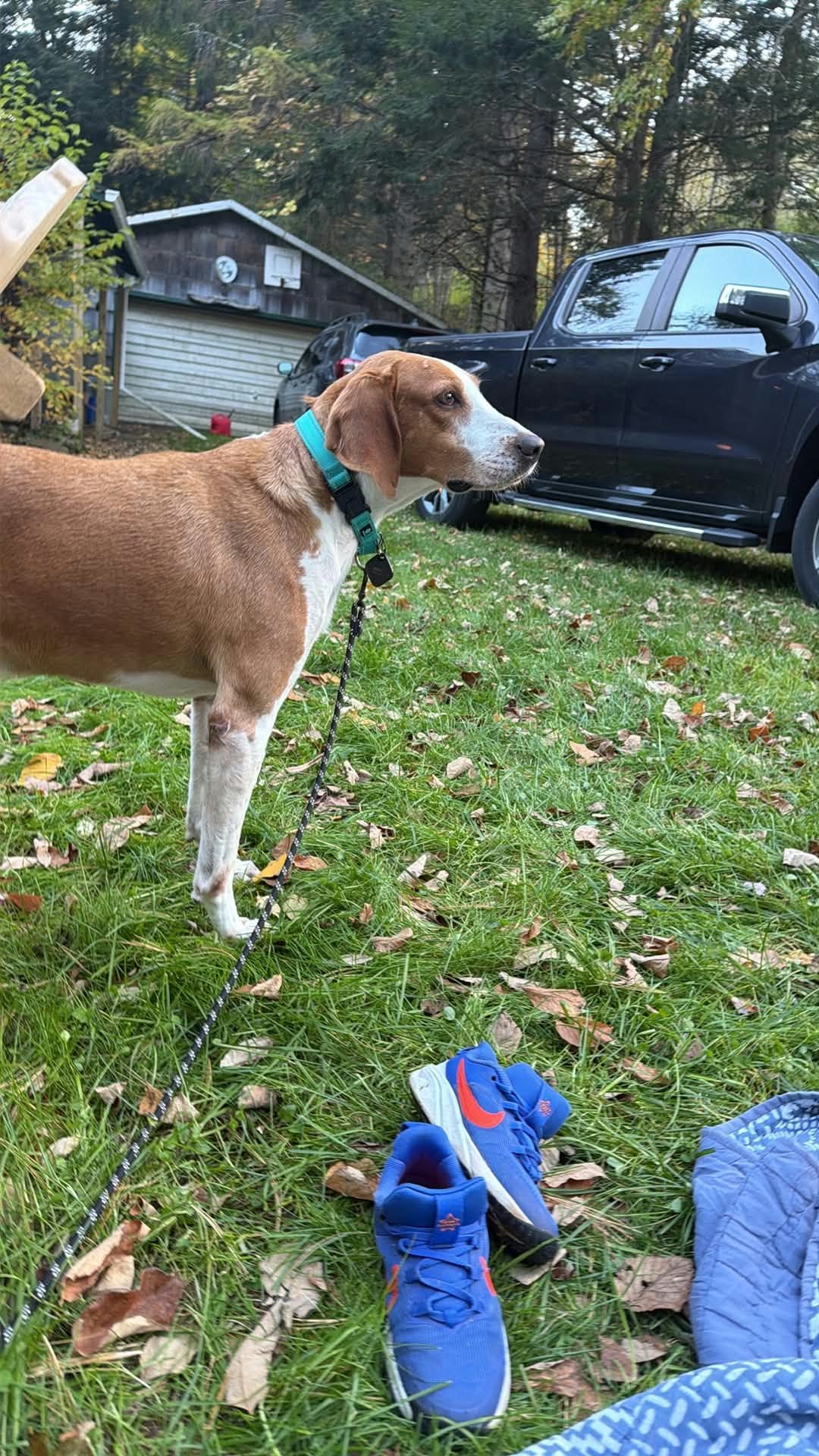 Hank image 3