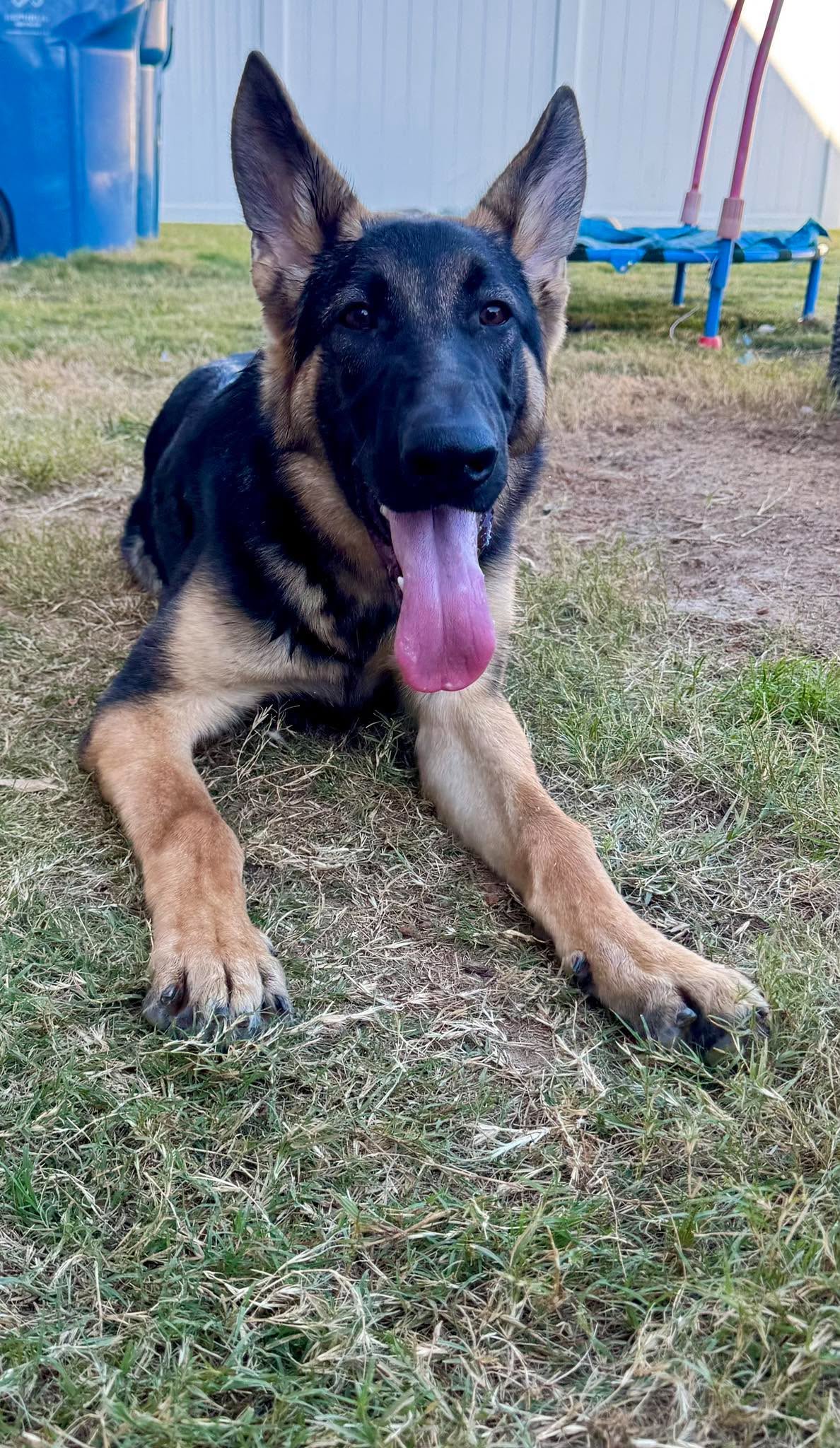 SEBASTIAN