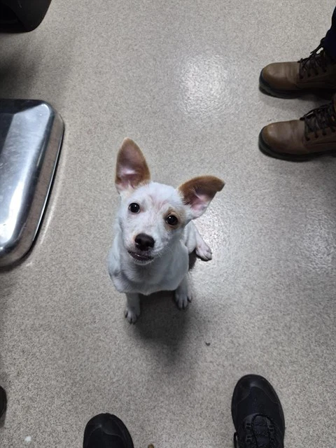 Winnie