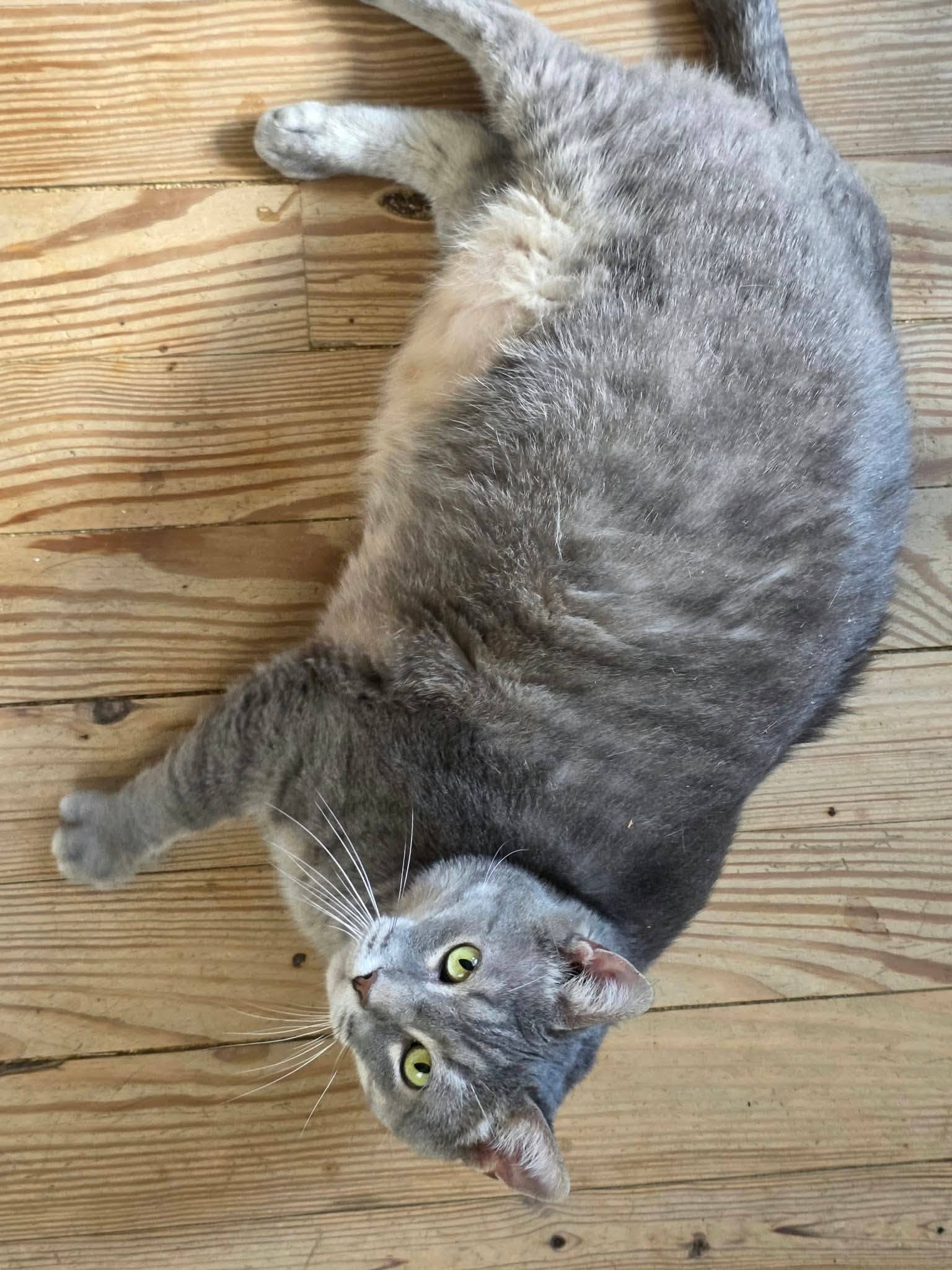 Jasper