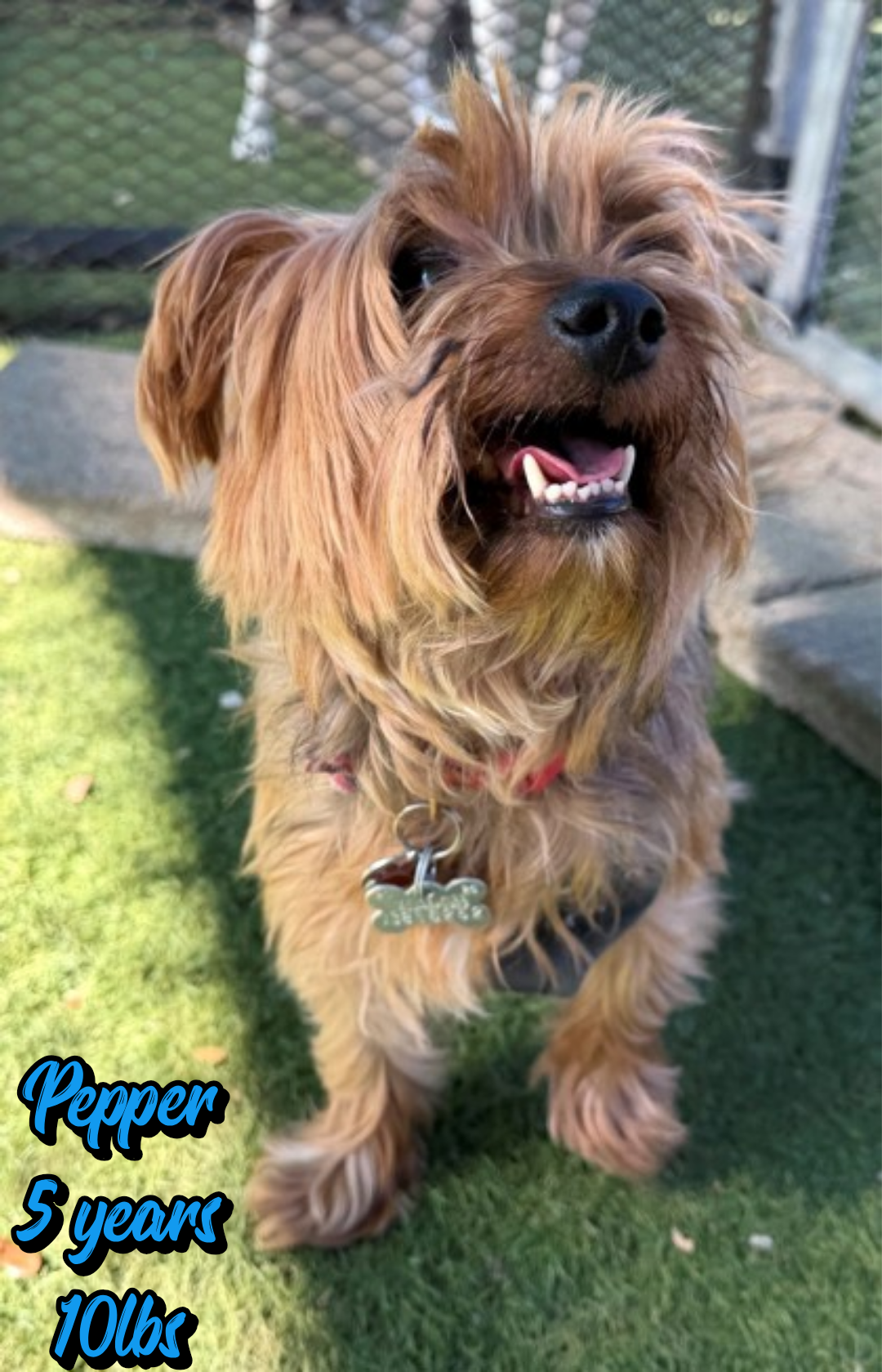 PEPPER