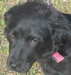 ZOEY