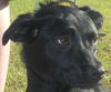 ZORA