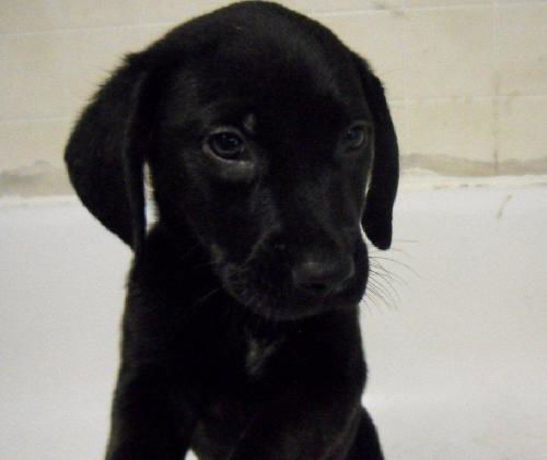 REMI