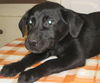 MARTINA