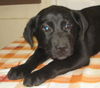MARTINA
