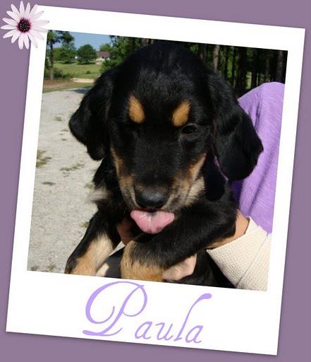 PAULA