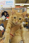 OLIVER