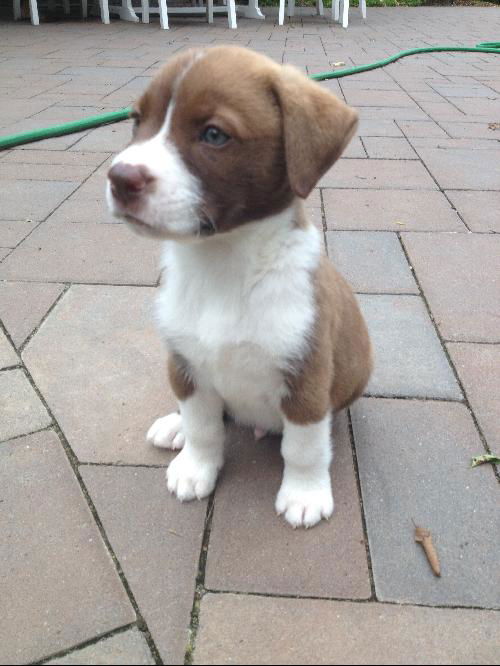 PEETA