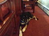 MACY