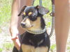 JAZZIE