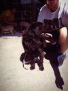 NETTIE