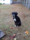 KATIE
