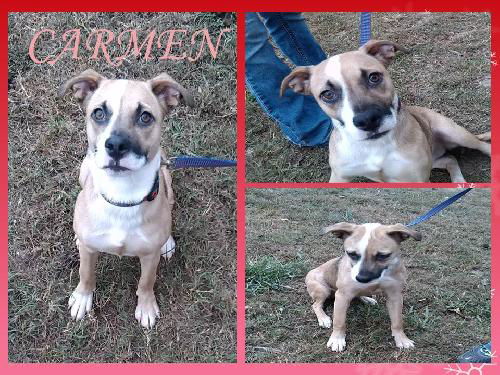 CARMEN