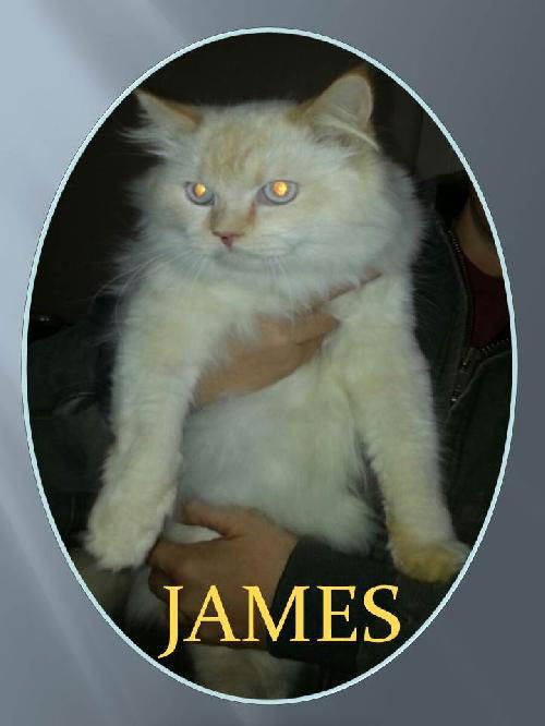 JAMES