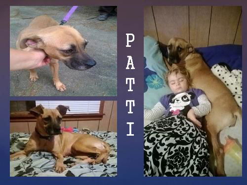 PATTI