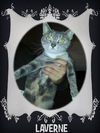 LAVERNE