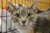 LAVERNE