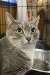 LAVERNE