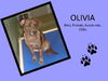OLIVIA