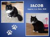 JACOB