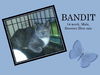 BANDIT