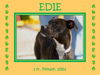 EDIE