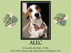 ALEC