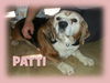 PATTI