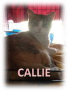 CALLIE