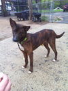 REX